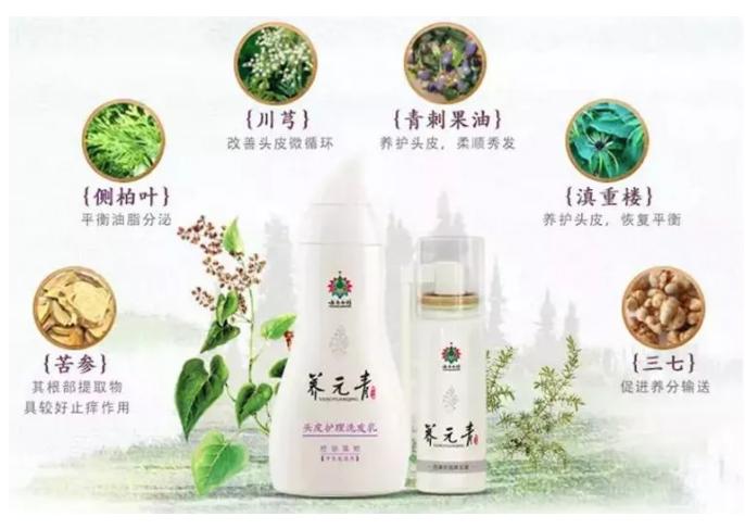 刘亦菲颅顶怎么那么高,刘亦菲高颅顶和低颅顶的区别图片