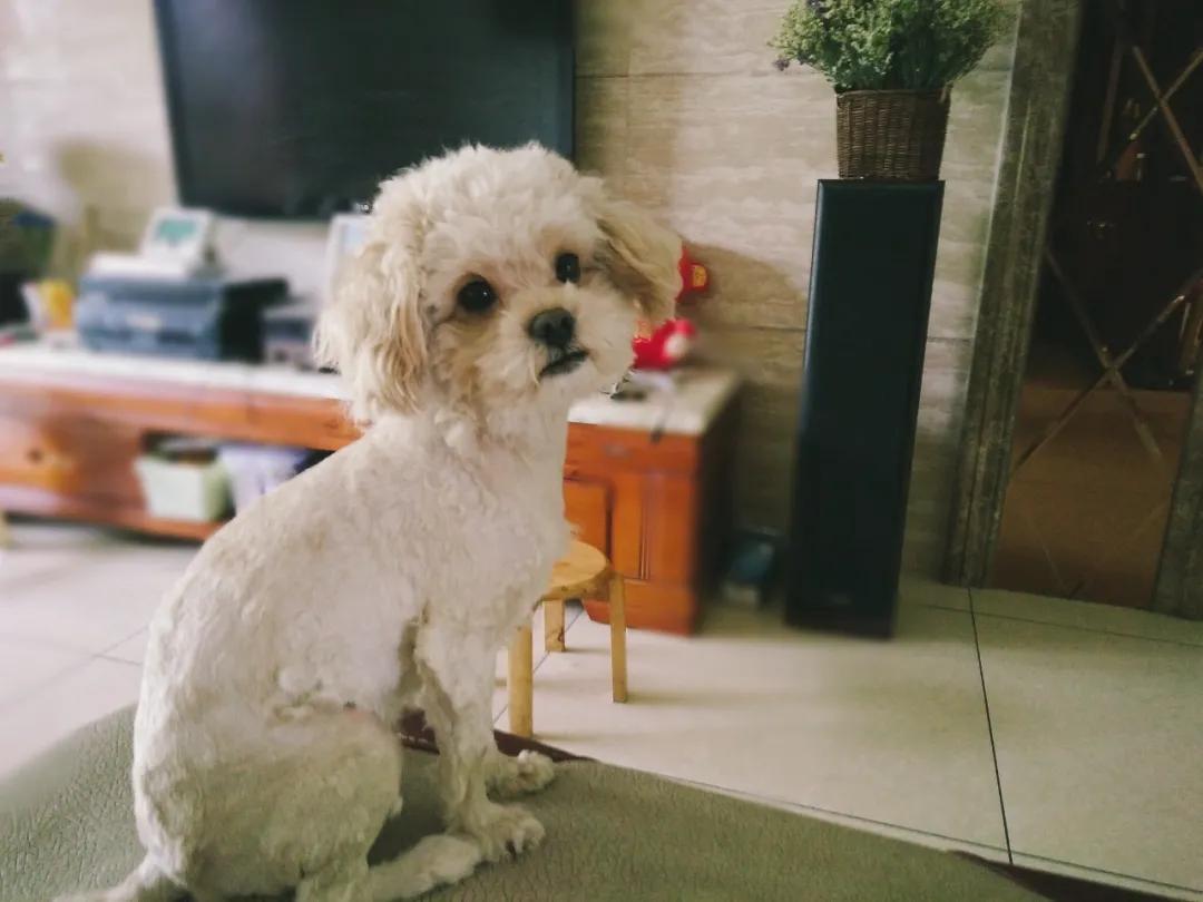 原来背地里,我妈在抖音玩得这么野