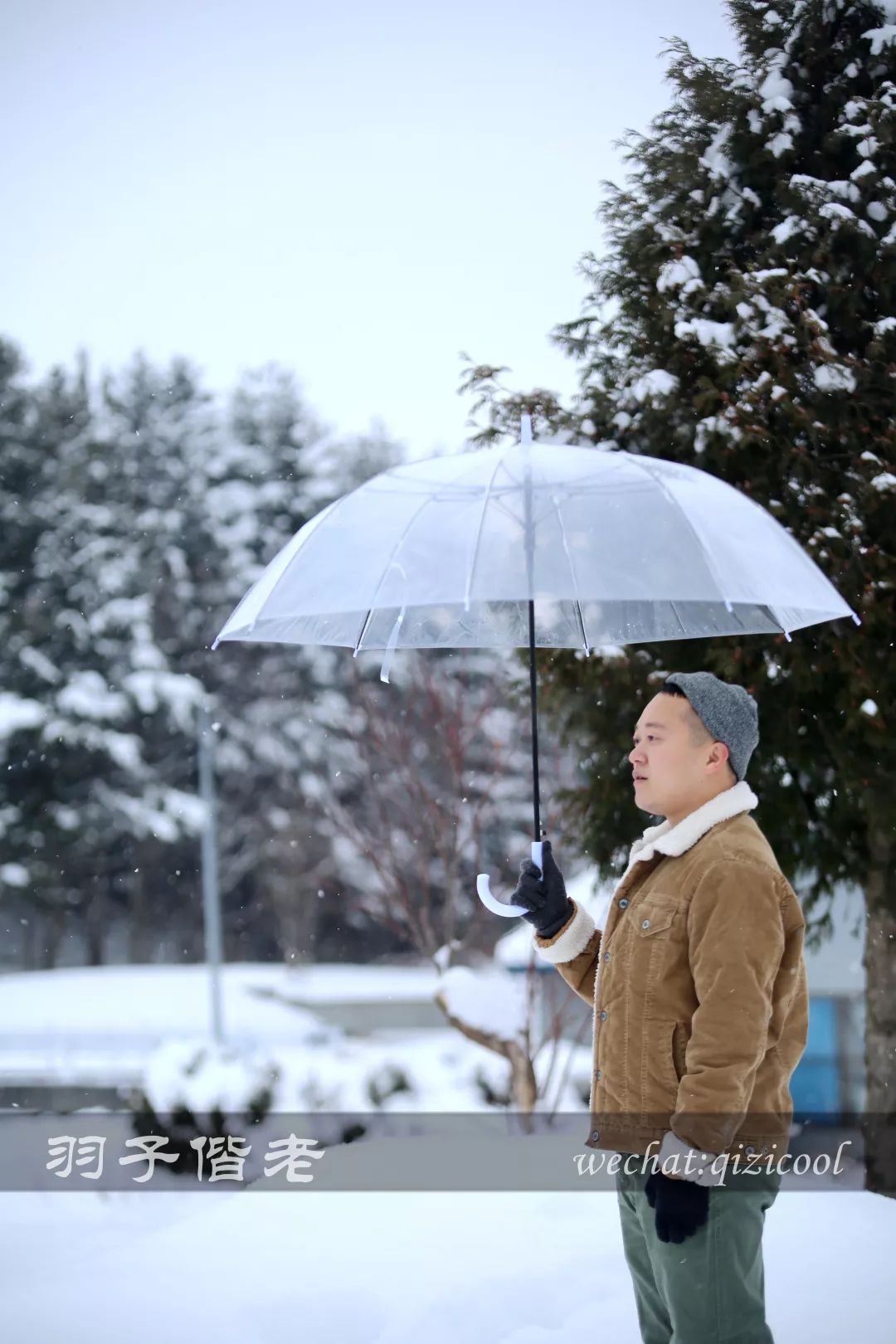老实说，这一趟北海道就是为了拍好看的照片去的