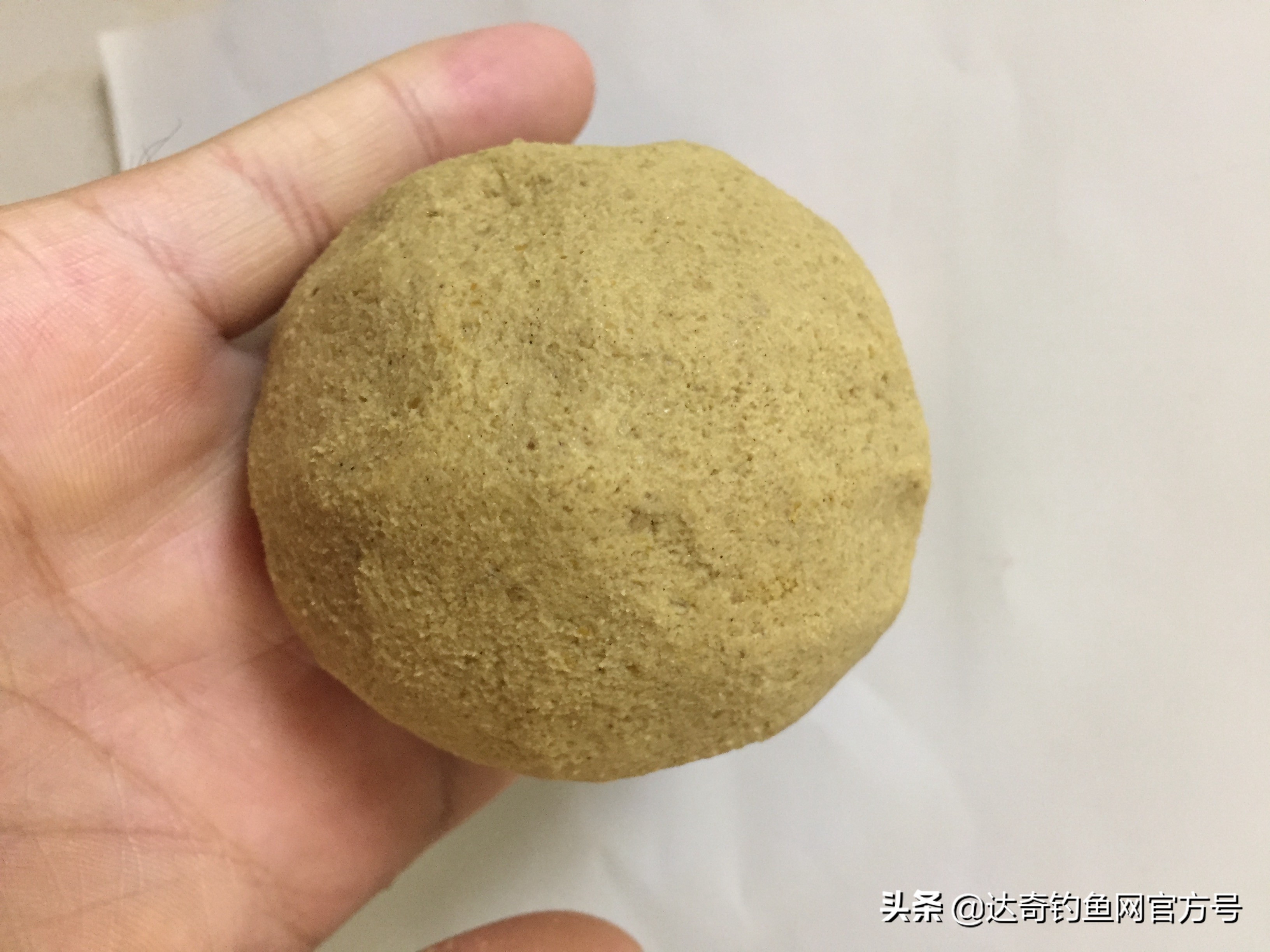 冬钓鲫鱼用红虫就够了？也许该了解一下“包食”诱钓，更有效