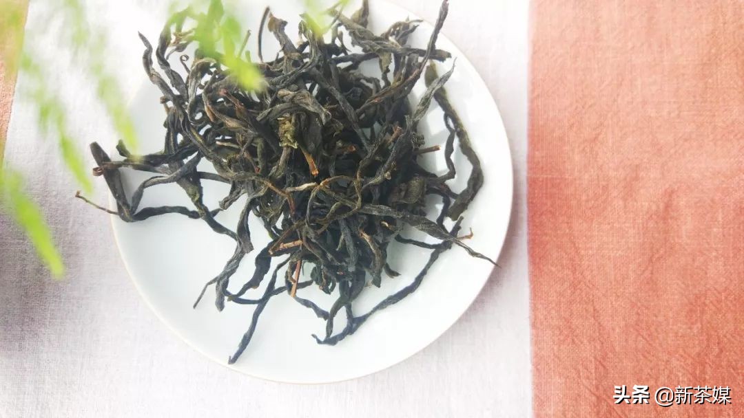 六大茶山经典普洱茶是什么,古六大茶山普洱茶特点
