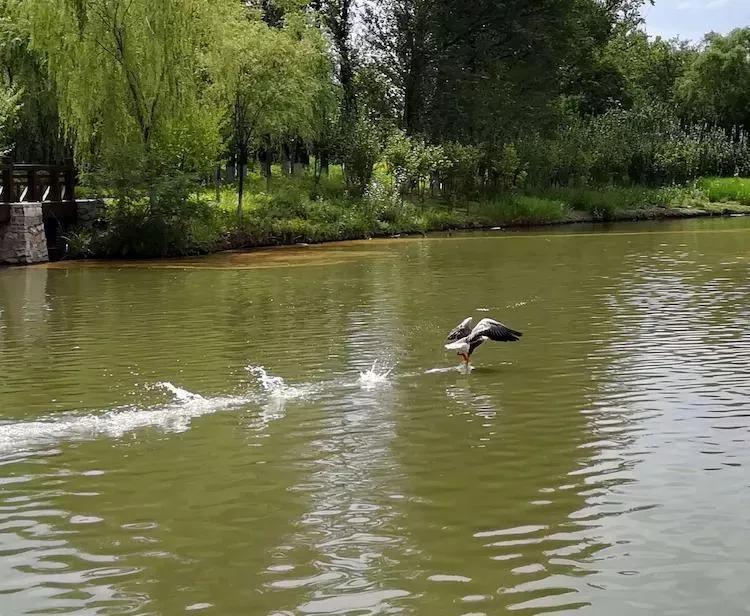 北京小型四合院公寓,北京市最大的老年公寓