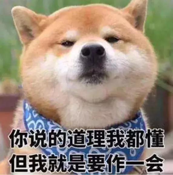 年营业额200亿的廉价批发市场，代购手里一半的假包都来自这里