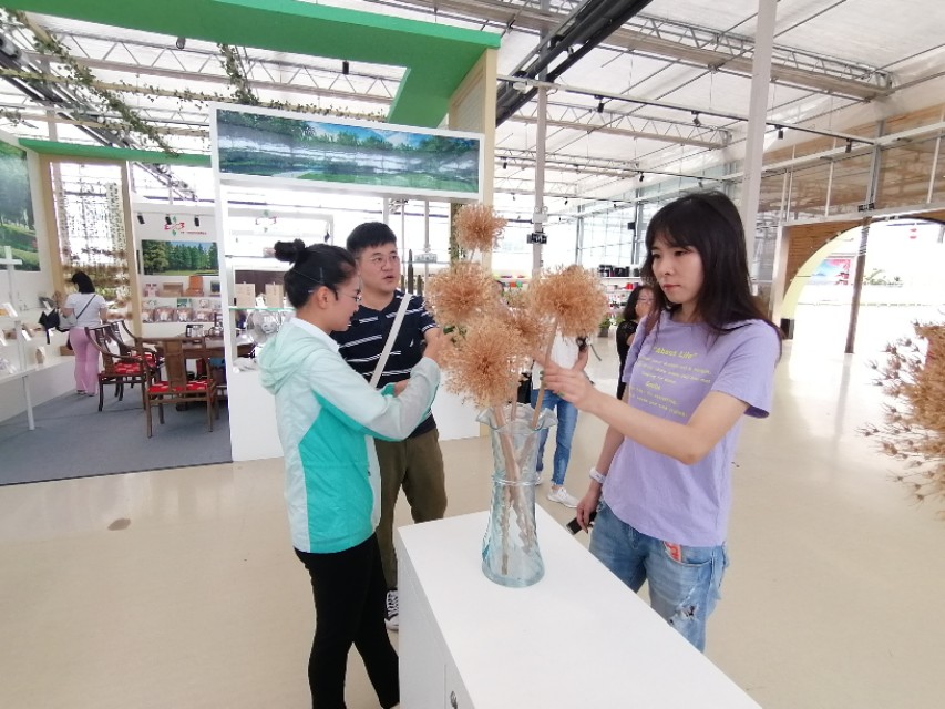 第二十届中原花木博会鄢陵,第九届中国花卉博览会倒计时