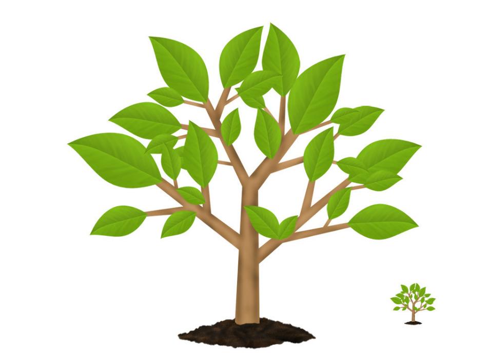 胎盘的正确处置方法,胎儿的胎盘一般怎么处置