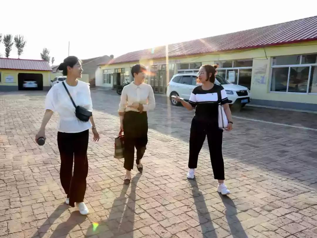 奈曼三花猫,奈曼三金