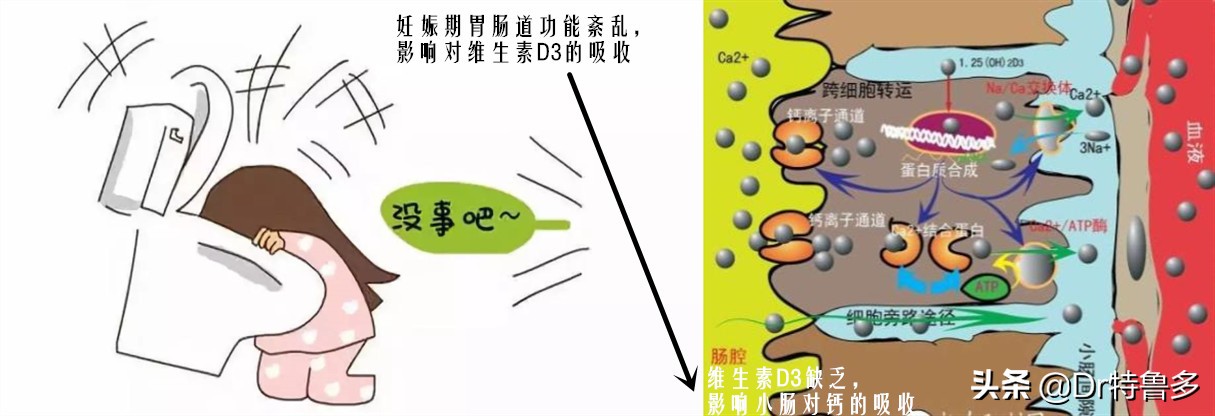 哺乳期女性补钙但是仍然骨质疏松,哺乳期妇女重度骨质疏松