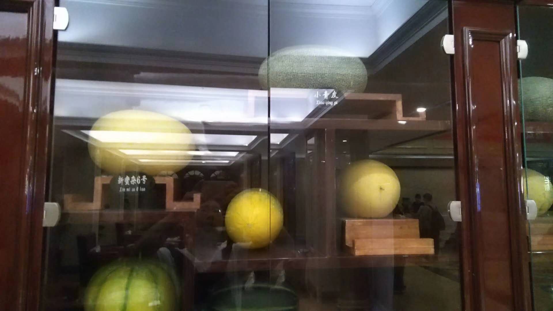 哈密市区是怎样的,哈密地区是哪