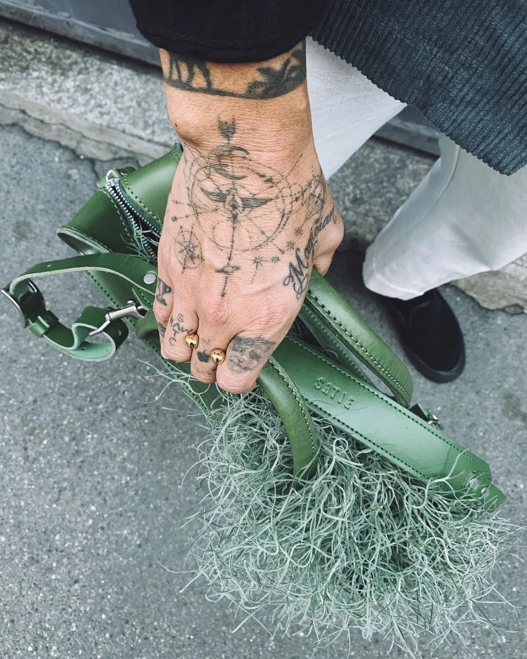 金盆洗手吧，植物杀手们