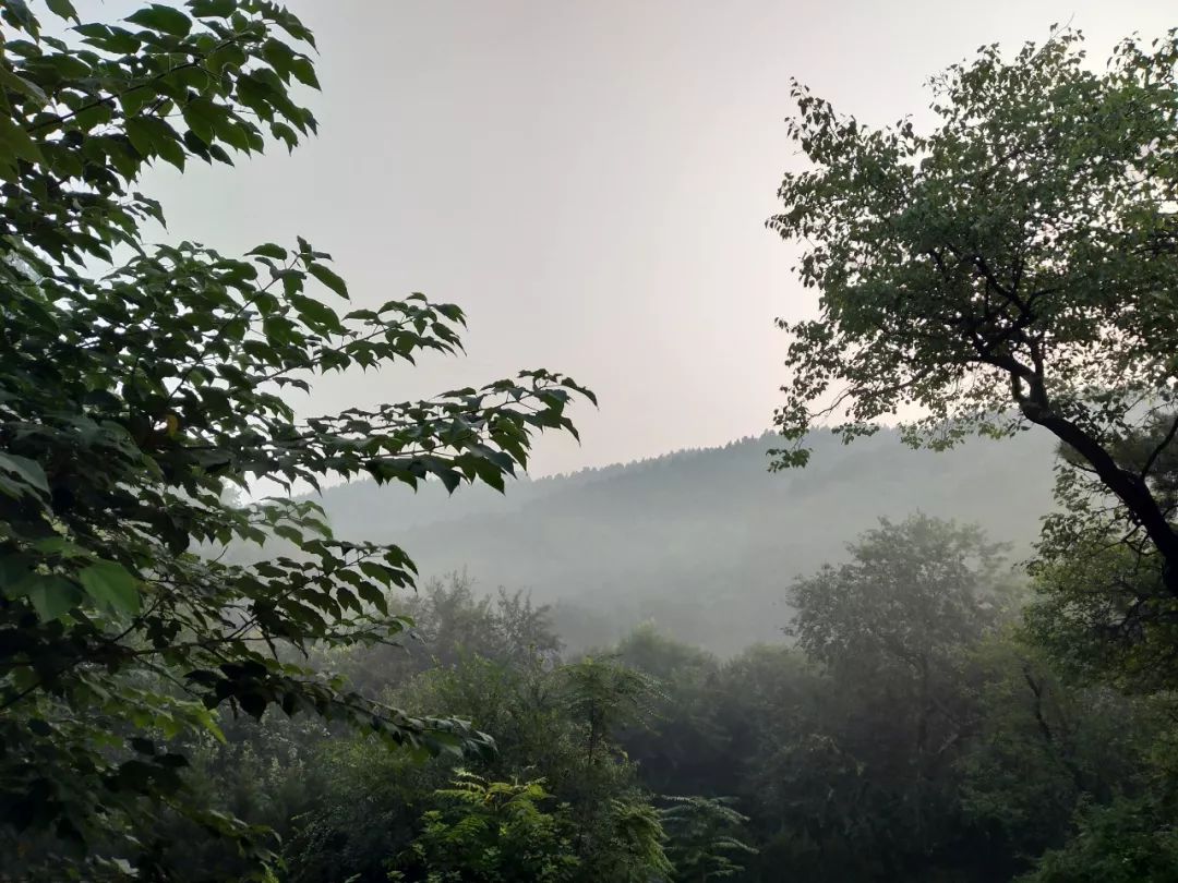 北京西山壹号院480平大平层豪宅,北京西山壹号院1000平