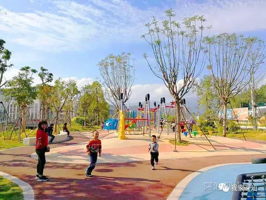 深汕生日快乐,深圳经济特区的生日