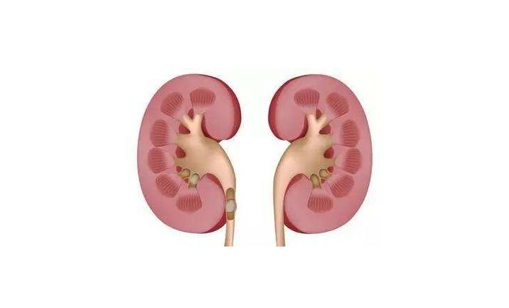 40岁女人骨质疏松,骨质疏松基础补钙每日钙的摄入量