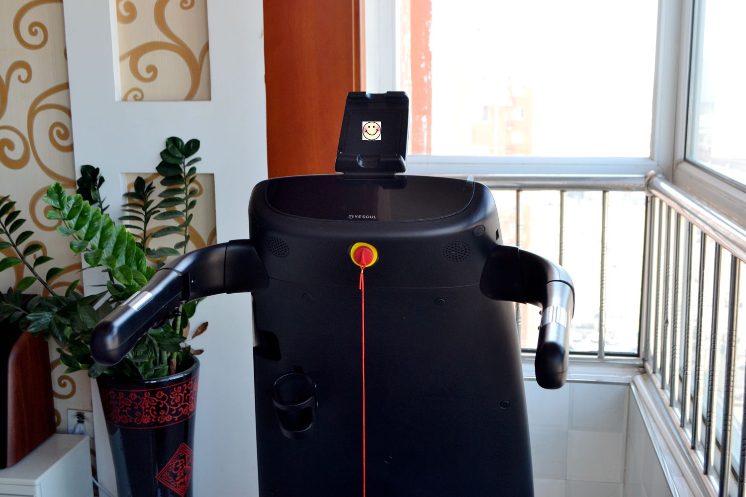 因为老罗入坑!入手了野小兽P30跑步机,坚持了半个月谈谈感受