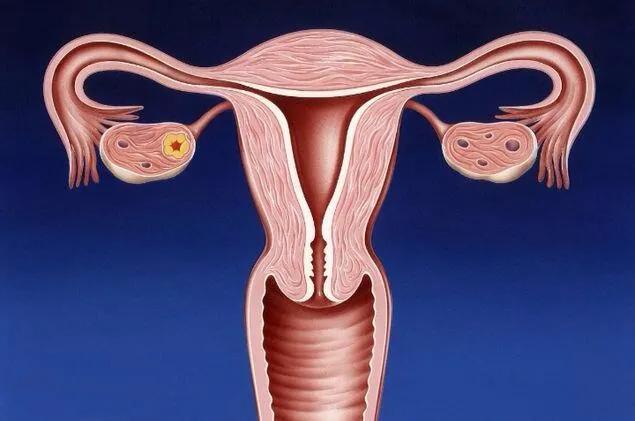 第一次去妇科检查需要注意什么,第一次产检妇科检查都有哪些项目