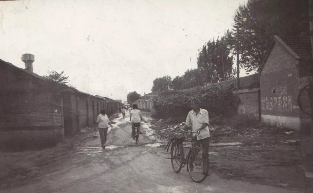 28条人命连环杀人案,保定一25岁女子被杀