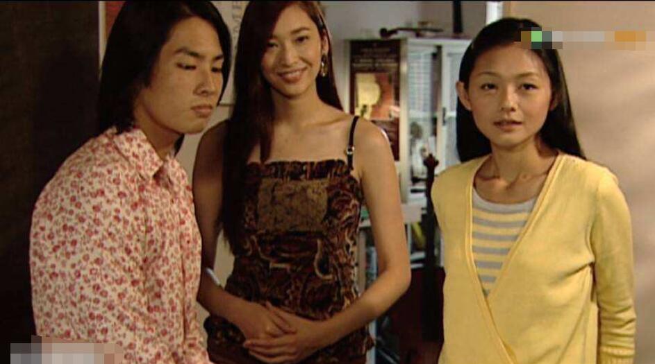 还珠格格与流星花园,还珠格格流星花园