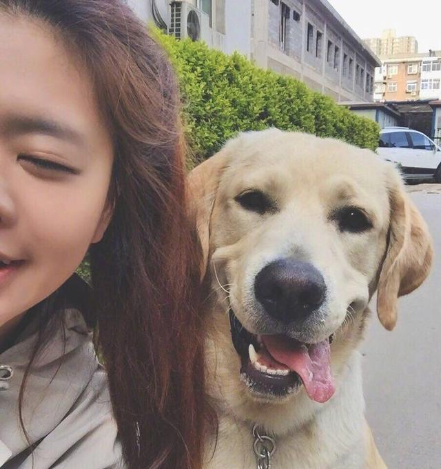 宠物狗绝育需要注意什么,宠物狗需要绝育吗