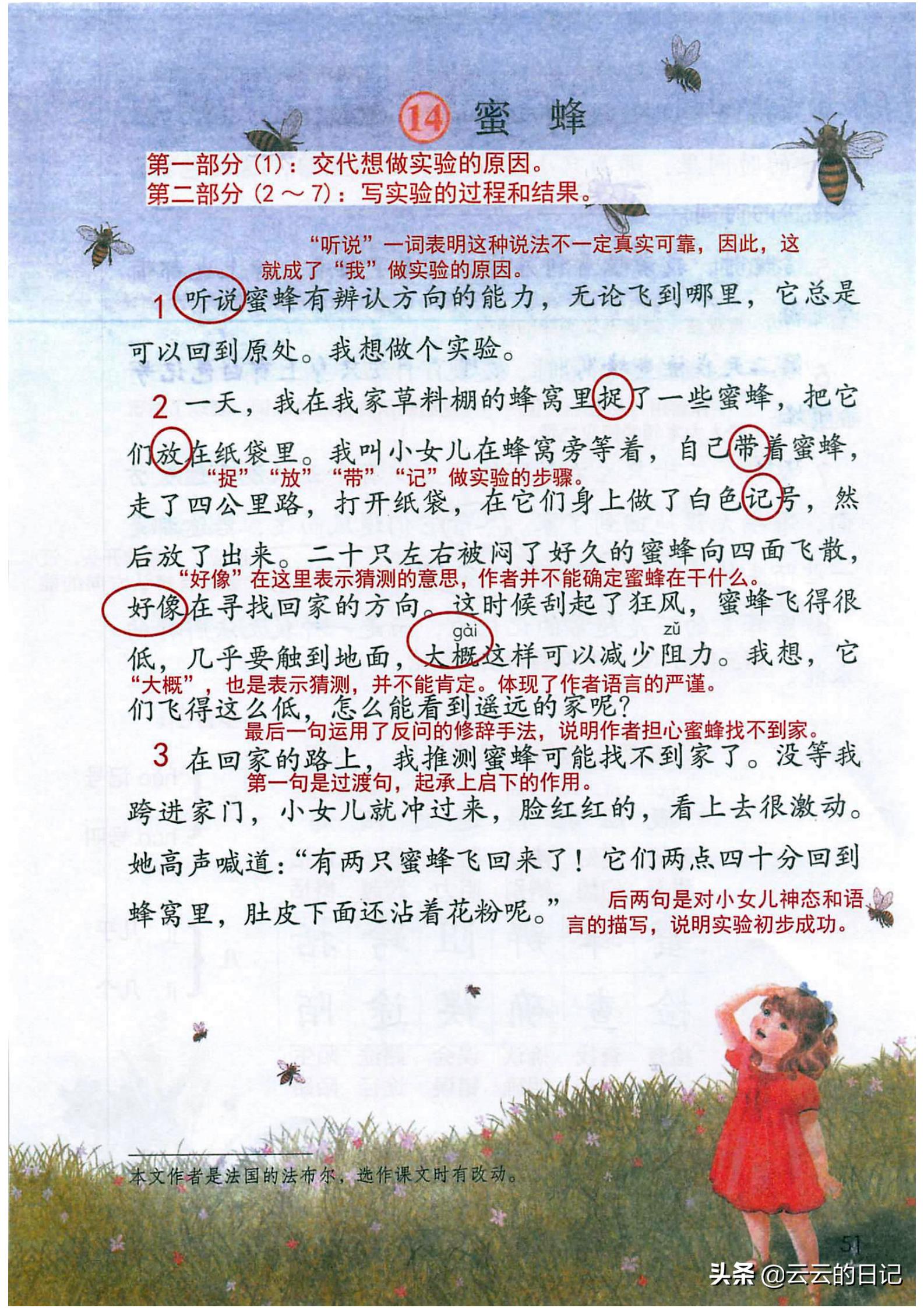 三年级下册语文笔记完整版讲解,三年级下册语文第一课注释