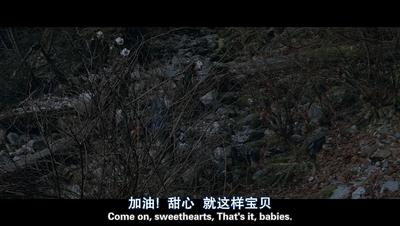 第一滴血是什么题材的电影,第一滴血最后一滴血完整版