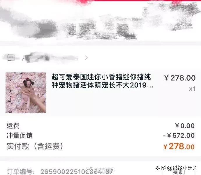 双十一买到的奇葩商品,双十一网购买到假货翻车现场