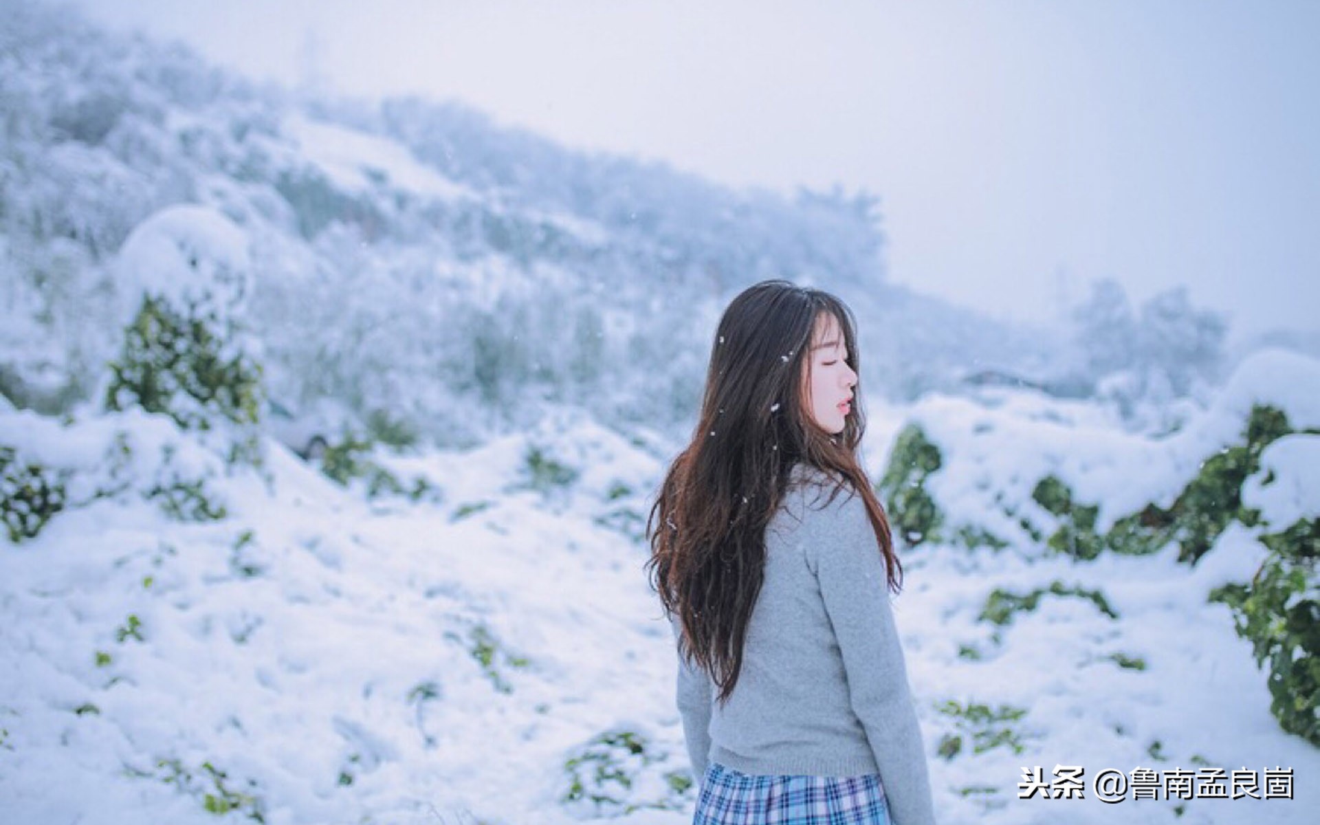 冰天雪地寒梅傲雪,初冬踏雪去寻梅