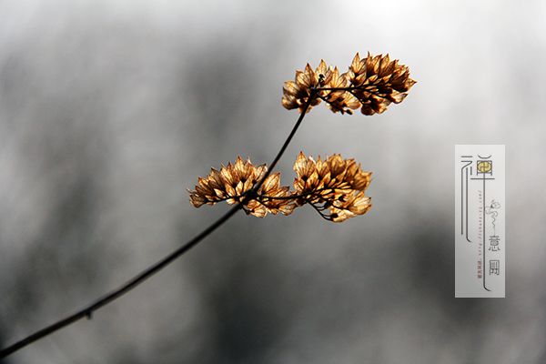 人生感悟一段很现实的话,人生感悟文案