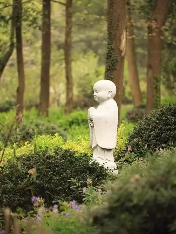 杭州隐宿网红民宿,杭州隐居山林古风小屋