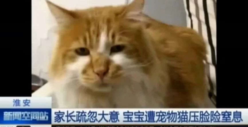 奶爸独自带娃不同表现,奶爸带娃累的倒头就睡