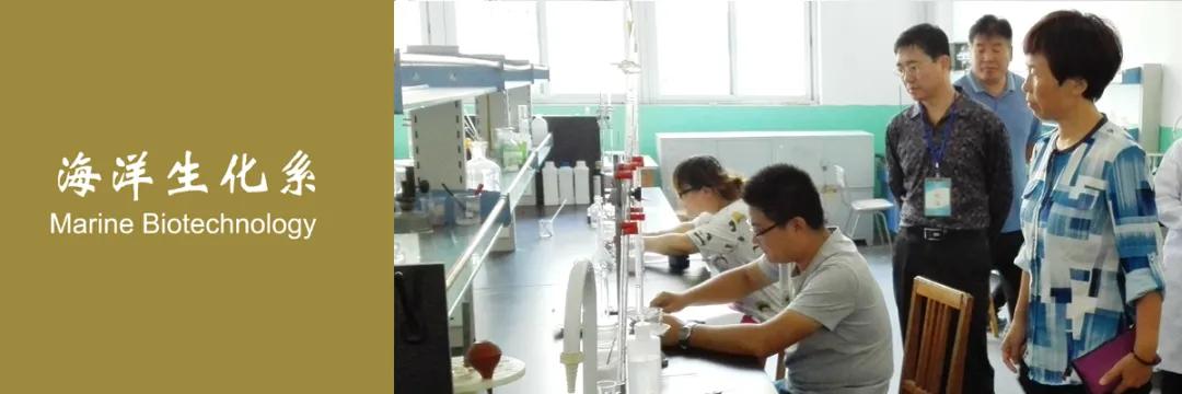 山东工业技师学院机电工程系,山东工业技师学院是什么学历