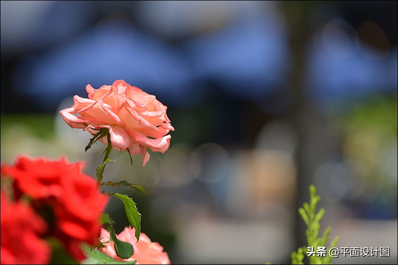 图丽80-400镜头防抖,图丽80-200f2.8有防抖吗