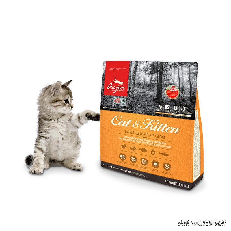 养猫猫粮推荐测评,养猫猫粮推荐卡通