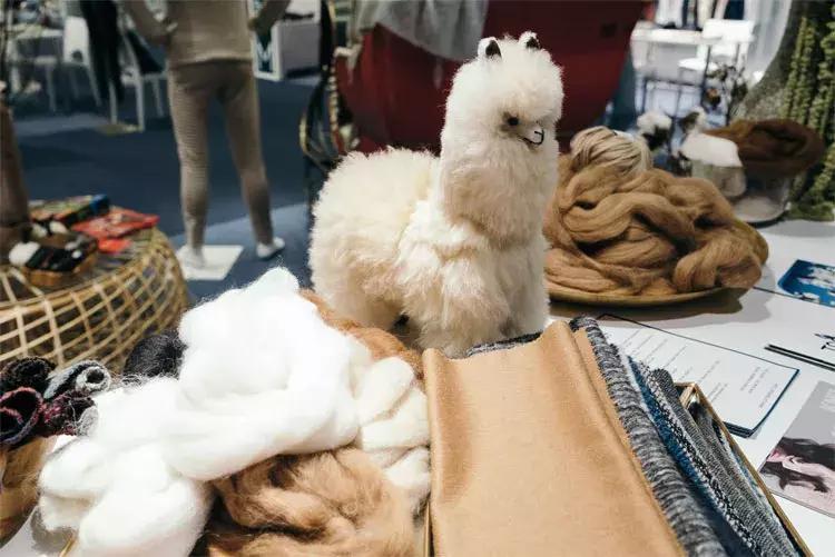 包括羊驼的十大神兽羊驼简介,羊驼神兽为什么吐口水