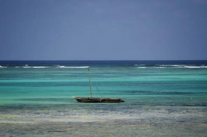 坦桑尼亚之旅,坦桑尼亚东非草原