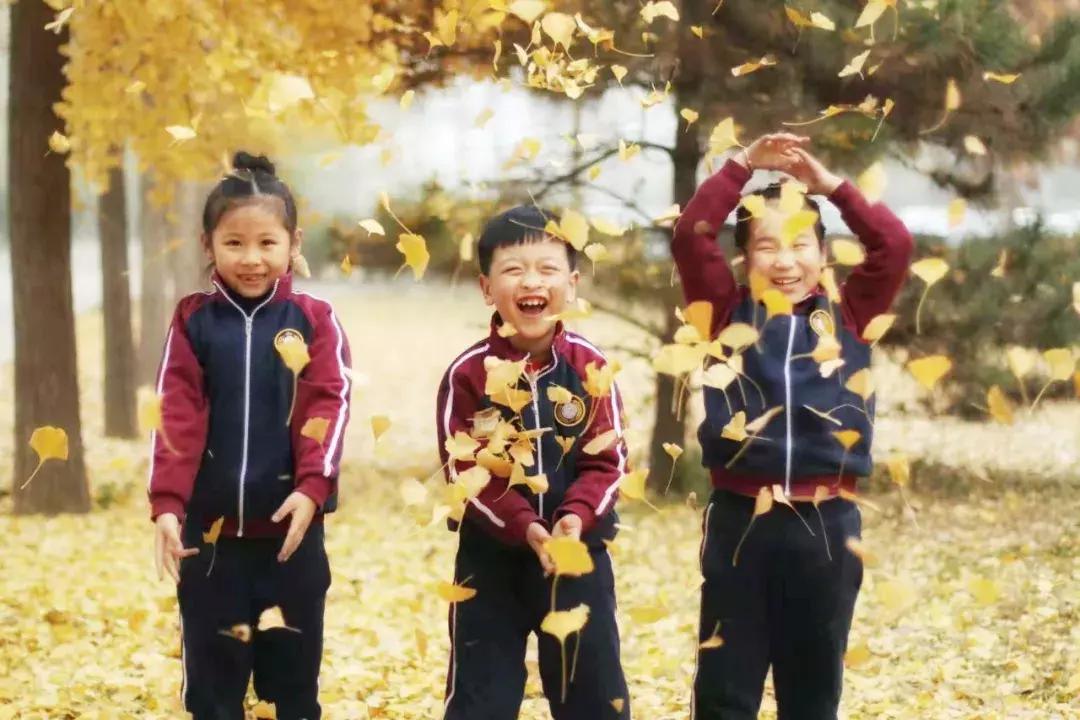 保定东方双语学校如何进,学习不好能上保定东方双语学校吗