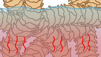 被洗缩水的羊毛衫还有救么,100%绵羊毛羊毛衫怎么清洗防缩水