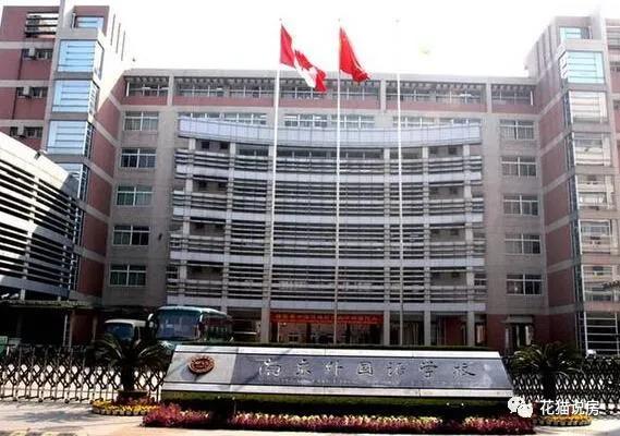 南京小学排名南外,2021南京各小学南外录取人数