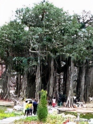 新疆小县城的商机,新疆发展空间大的新项目