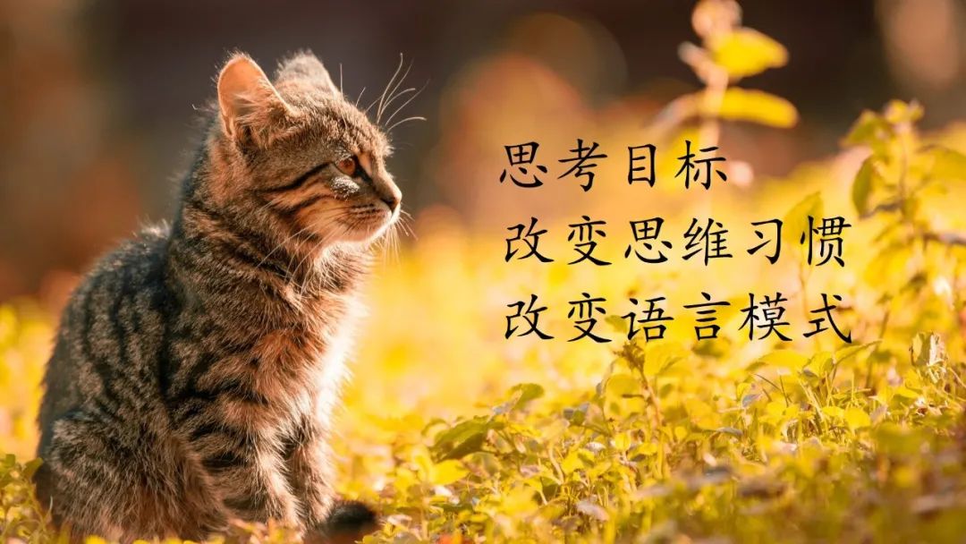 每天阅读和写作的方法,看书如何快速提升写作水平