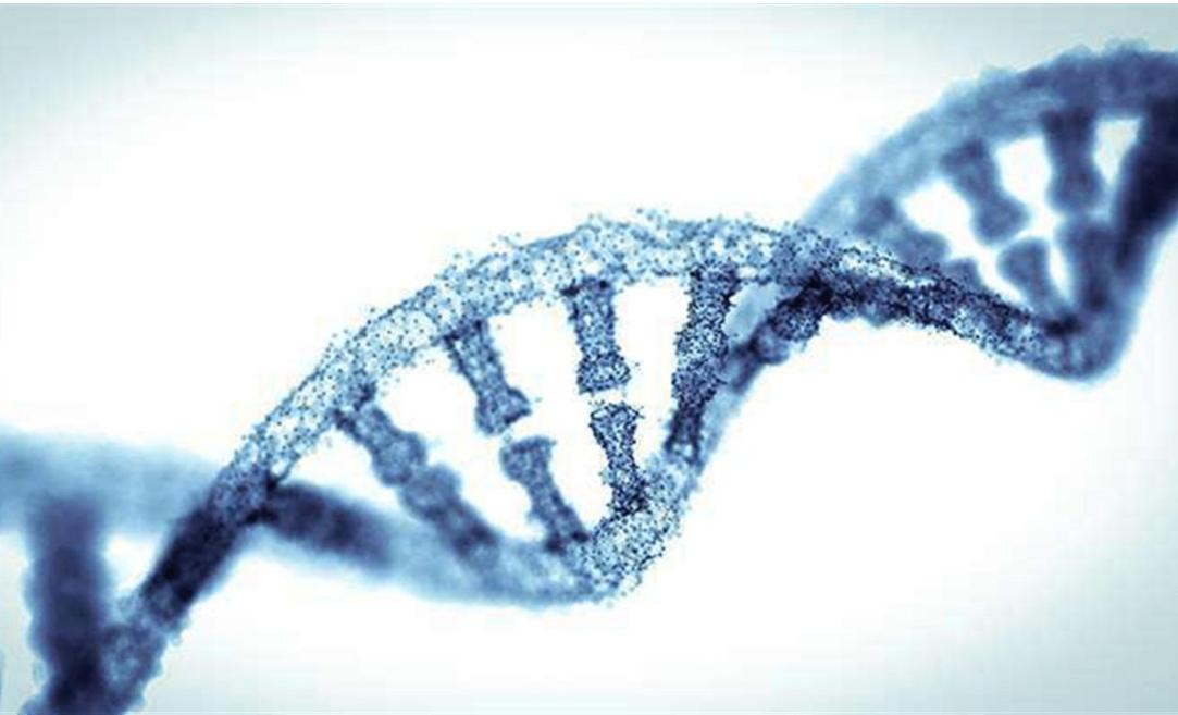 钱要花在刀刃上爱要留给对的人,钱要花在刀刃上感悟