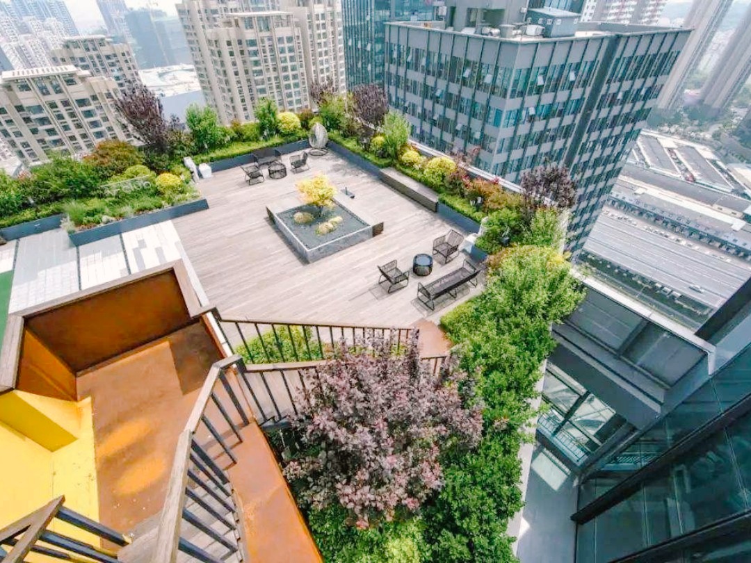 如何打造花园屋顶,超实用的屋顶花园