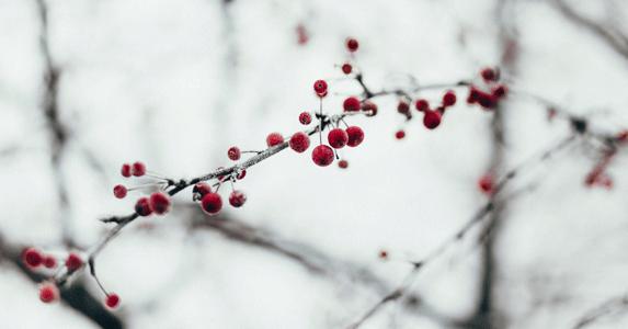 故事：村妇高价买来口红后越来越漂亮，刚涂几天她却一夜破产