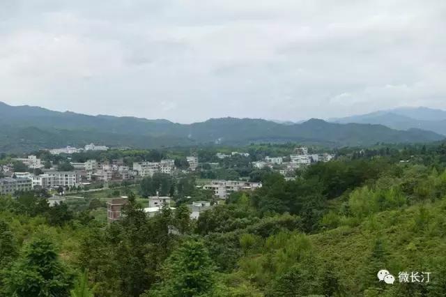 城建频道丨福建长汀发生“蝶变”的背后：用绿色赶跑贫穷廖深洪接受央广国际在线专访……