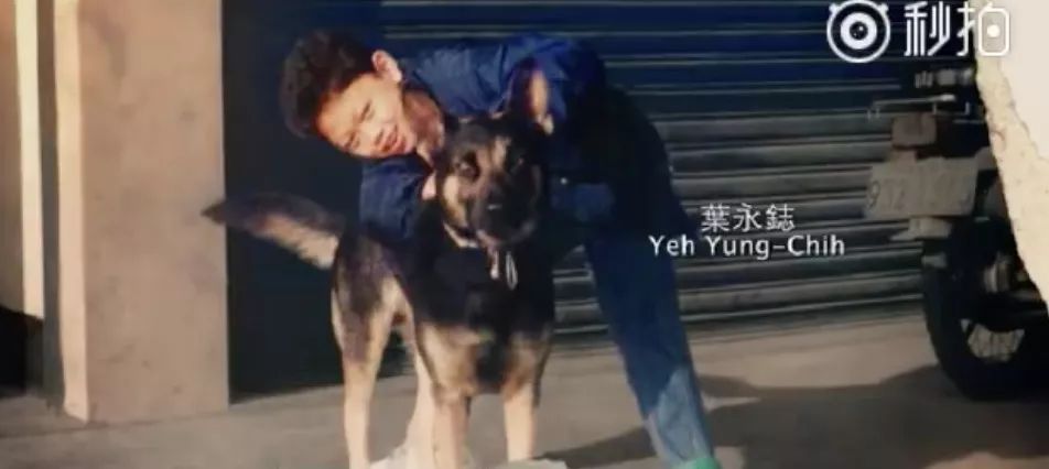 易烊千玺周冬雨演的电影少年的你,易烊千玺诠释少年的你