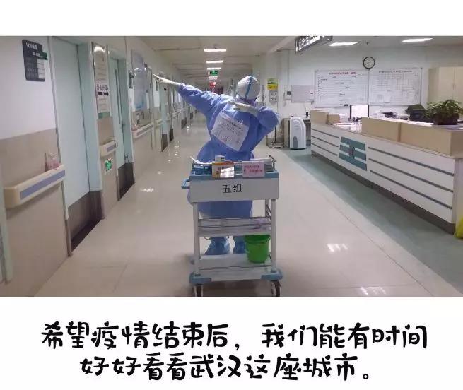 武汉看武大樱花和黄鹤楼,武大樱花跟黄鹤楼远吗