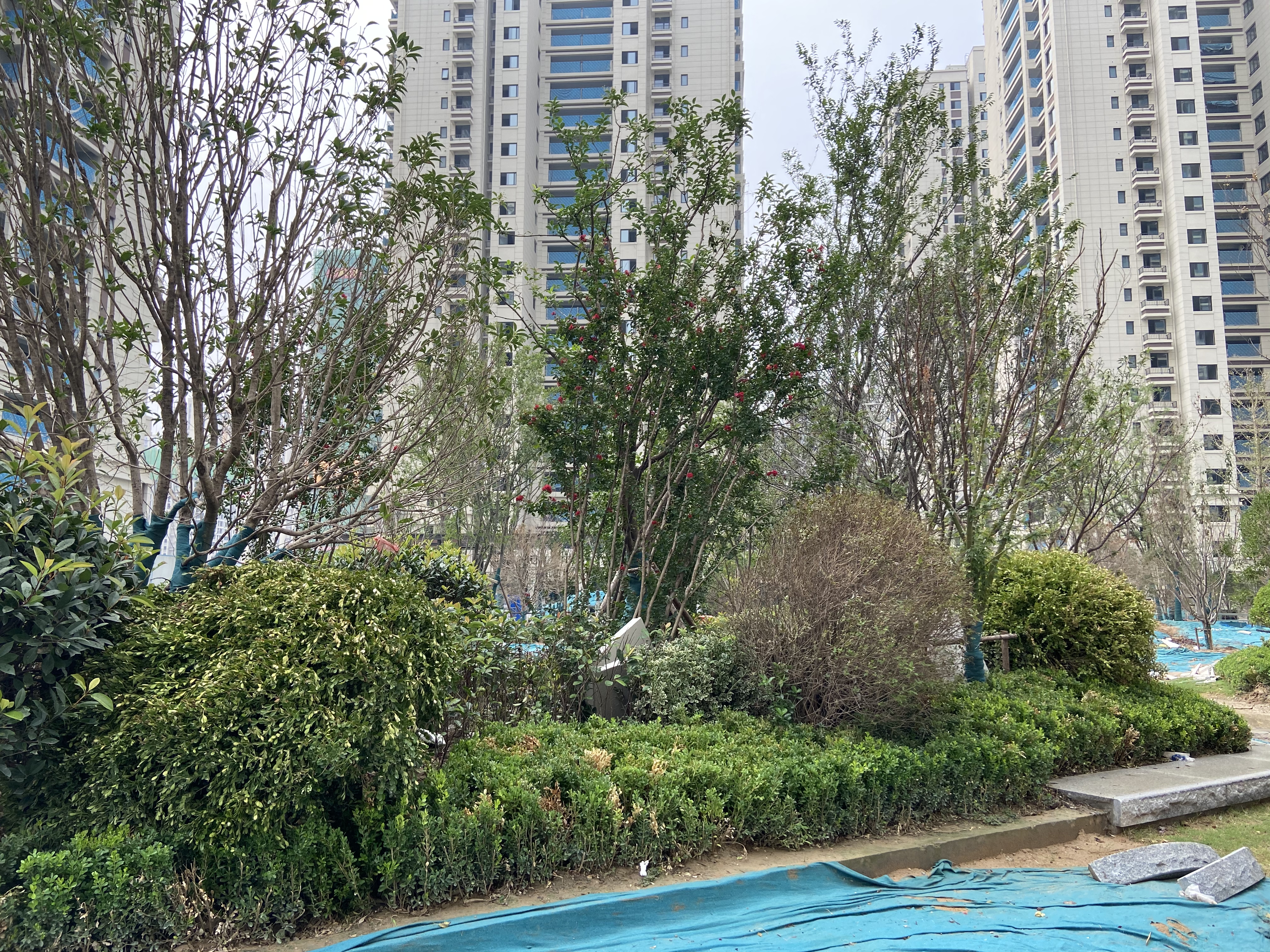 郑州二七区的房子租不出去,大妈:4居1500元也没市场