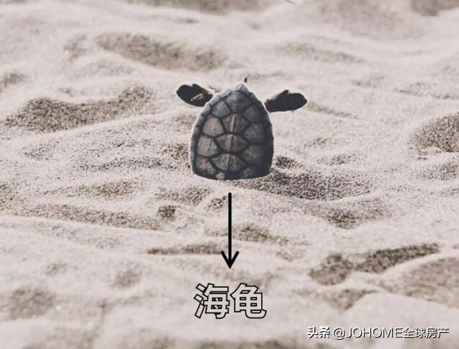 出国留学最后悔的决定,出国留学五种错误