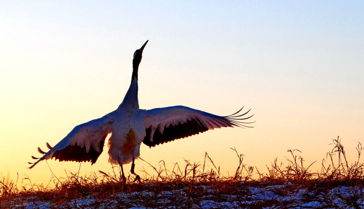 汪老师讲孩子性格,北大教授讲解精神分裂症