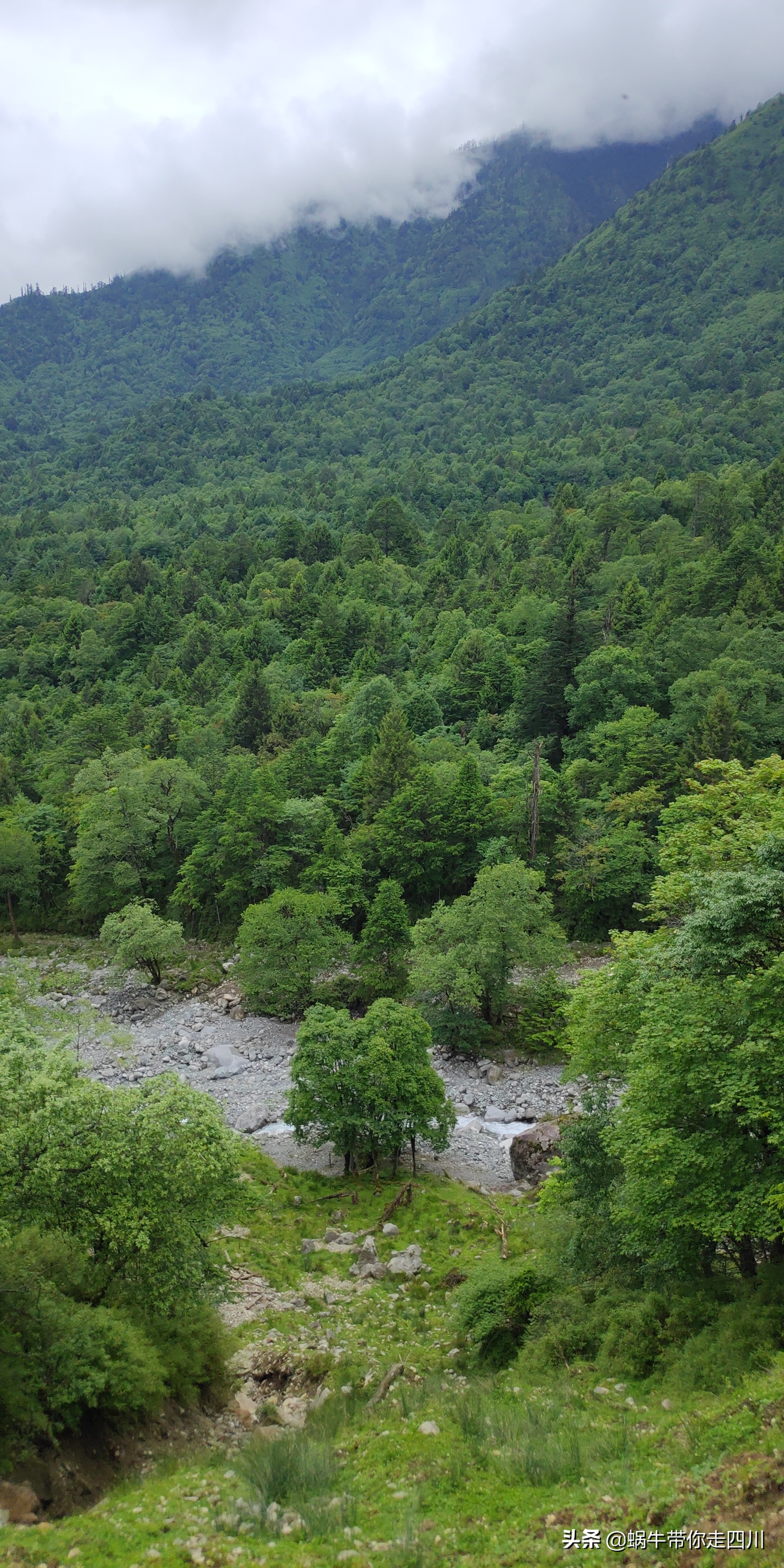 带小朋友出去看小动物,带小孩去海洋动物园