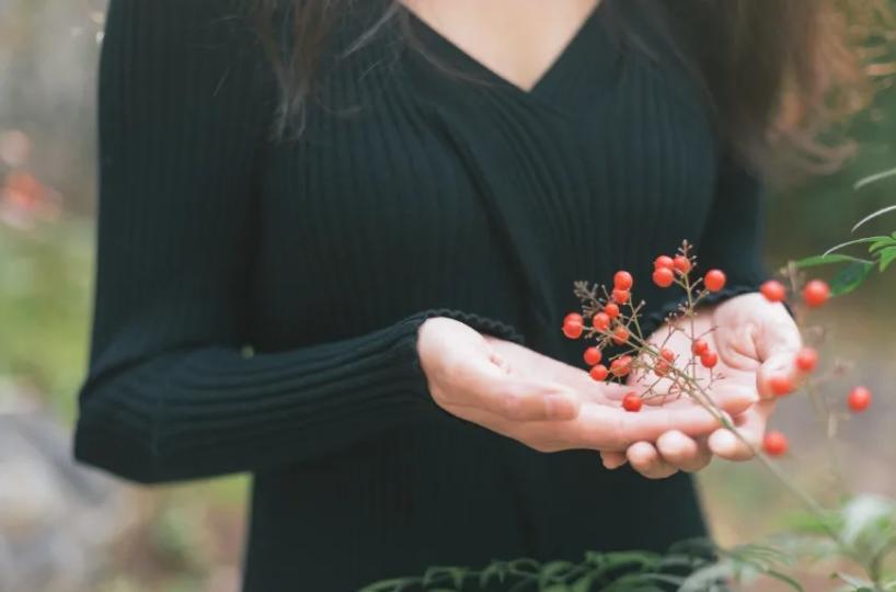 cbd鍖椾含鎺㈠簵,鍖椾含灏忎紬搴楅摵鎺㈠簵