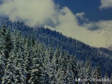 鏂扮枂鏄釜濂藉湴鏂规垜浠庢柊鐤嗘潵鏂囨,鐤嗘柊